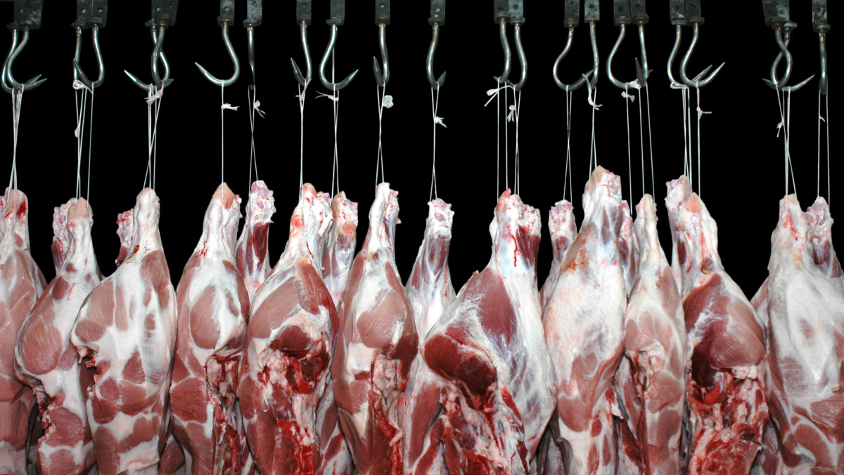 Pork meat hanged on a hooks in a butchery on a black background.