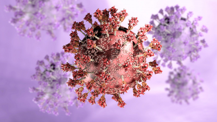Koronavírus: 6,63 millió fölött a halálos áldozatok száma