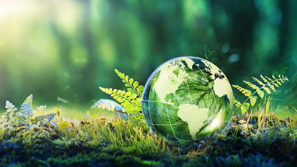 Environment Conservation - Green Globe Glass On Moss