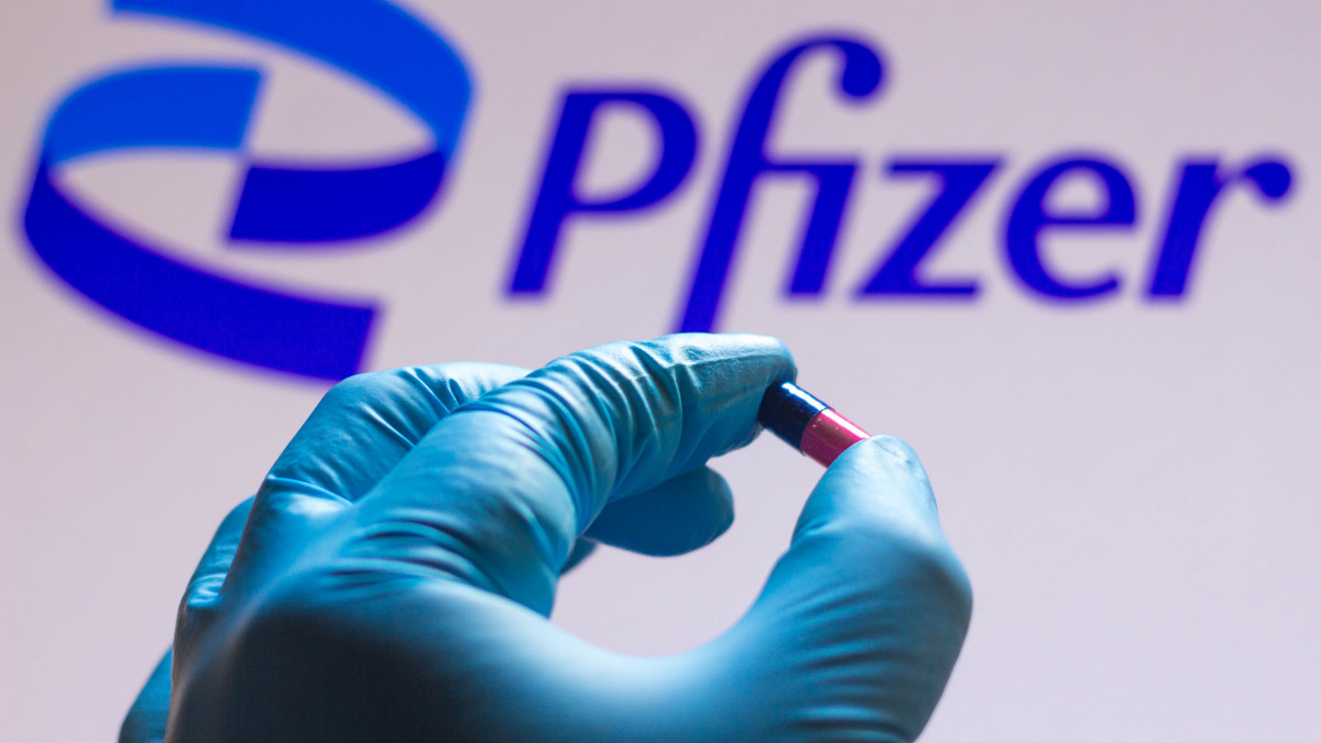 BRAZIL - 2021/11/26: In this photo illustration a Pfizer logo is seen on a screen and a hand holding a pill. (Photo Illustration by Rafael Henrique/SOPA Images/LightRocket via Getty Images)