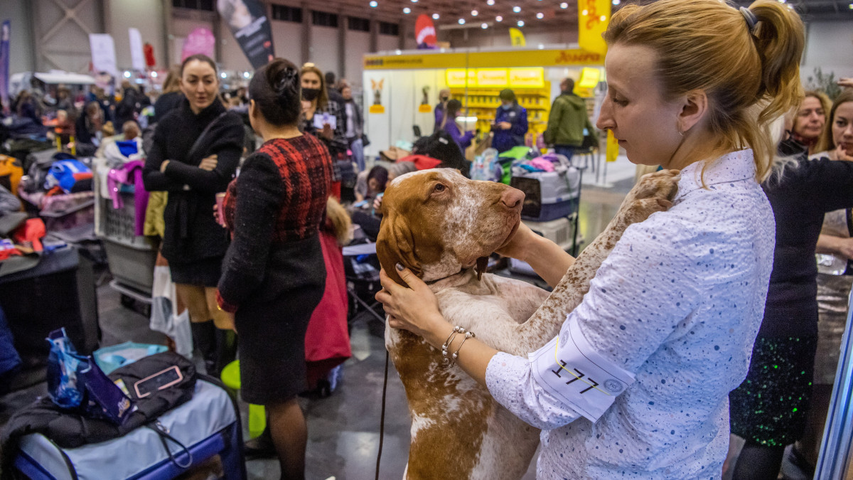 Az FCI Európa Kutyakiállítás (European Dog Show) a budapesti Hungexpo G pavilonjában 2021. december 29-én. A kutyakiállítást és kísérő rendezvényeit a Magyar Ebtenyésztők Országos Egyesületeinek Szövetsége a Hungexpón rendezi meg. A négynapos rendezvénysorozaton 57 országból mintegy 16 ezer kutya vesz részt. Az eredetileg májusra tervezett eseményt pandémiás és szervezési okokból kellett áttenni december végére, így a kutyakiállítás lesz az Egy a Természettel - Vadászati és Természeti Világkiállítás zárórendezvénye.