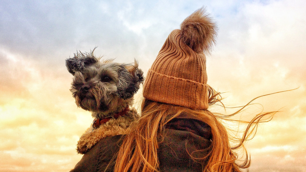 A rear view of a fashionable , young girl wearing a knitted, woolly hat and holding her scruffy, pet dog tightly over her shoulder with the wind blowing her long hair during stormy weather in Autumn