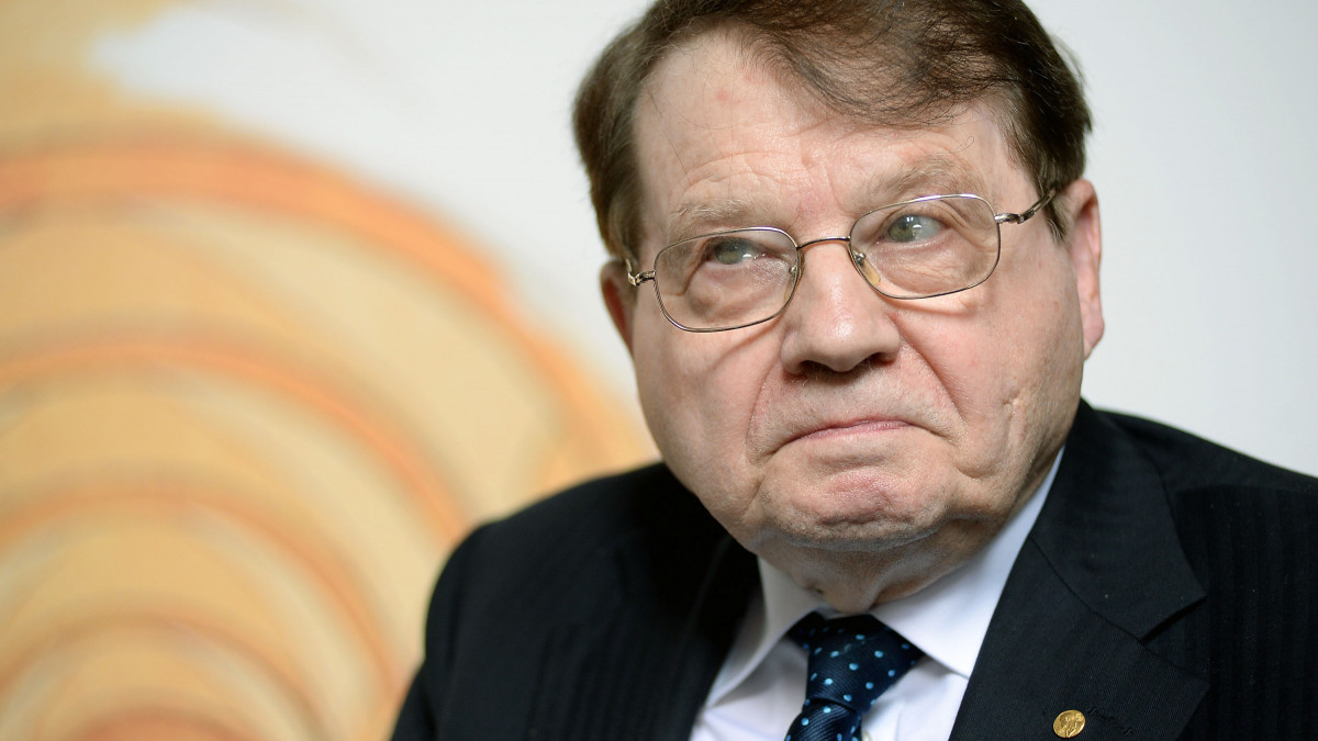 BOLOGNA, ITALY - MAY 07:  French scientist Luc Montagnier Nobel Prize for medicine in 2008 attends the opening ceremony of the Festival of Medical Sciences at Re Enzo Palace on May 7, 2015 in Bologna, Italy.  (Photo by Roberto Serra - Iguana Press/Getty Images)