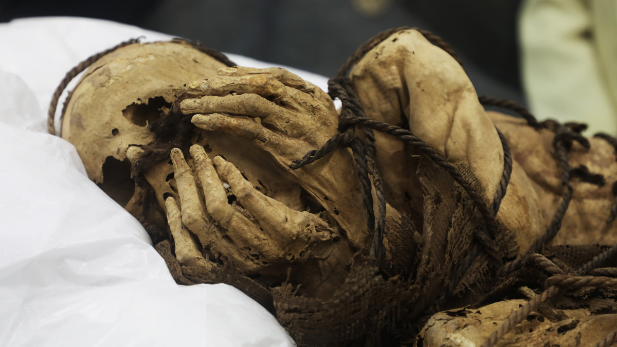 LIMA, PERU - DECEMBER 07: A view of pre-Incan Mummy of Cajamarquilla is seen as the University of San Marcos presents to the world in Lima, Peru on December 07 , 2021. The Mummy of Cajamarquilla, presumed to be between 800 and 1200 years old, found by archaeologists from San Marcos inside a burial chamber of about three meters long and a depth of 1.40 meters in the Cajamarquilla archaeological site, east of Lima. (Photo by Klebher Vasquez/Anadolu Agency via Getty Images)
