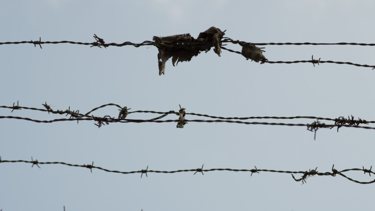 barbed wire.