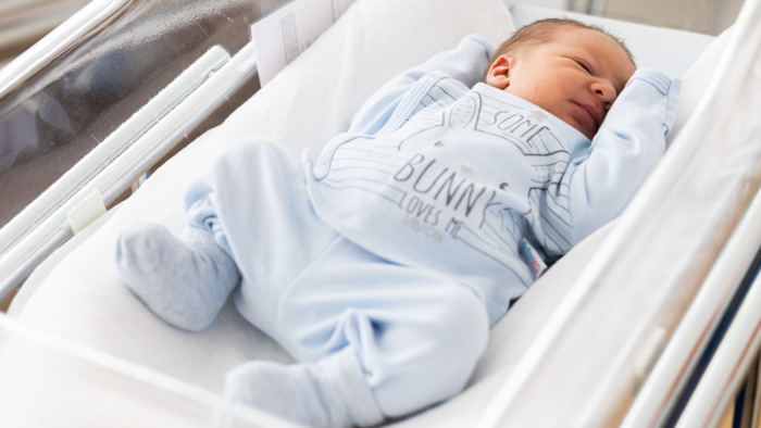 Menekültbaba született a Semmelweis Egyetem klinikáján