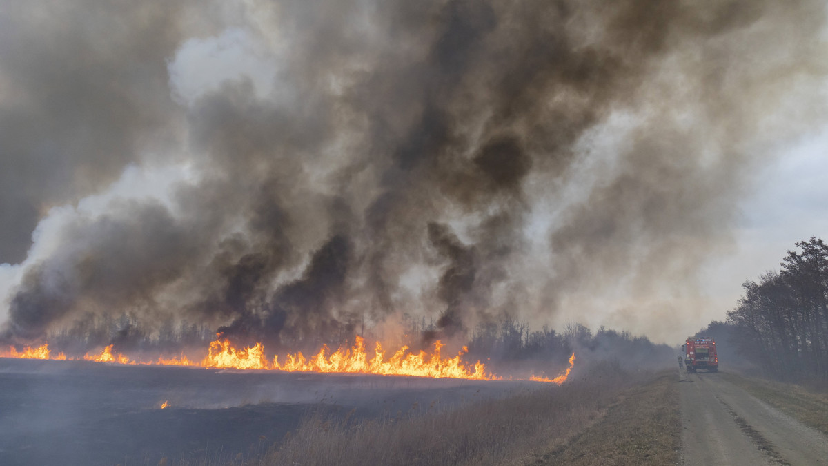 Tűzoltók dolgoznak a kigyulladt aljnövényzet és az erdő oltásán a 76-os főút mentén, Sármellék közelében, a Kis-Balaton térségében 2022. március 6-án. A nagy távolságról is észlelhető, füsttel járó tűz a főúttól délre, mintegy 24 hektáros területen ég, a lángok a nádast és egy erdőt is elértek.