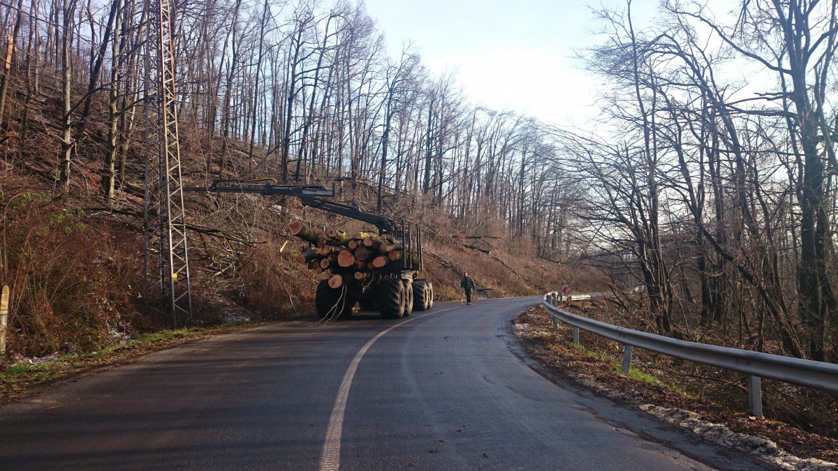 A Pilisi Parkerdő Zrt. munkagépe 2014. december 4-én a Dobogókő és Pilisszenkereszt közötti úton, miután a környéken az ónos eső után a jég súlyától fák dőltek ki és faágak szakadtak le.