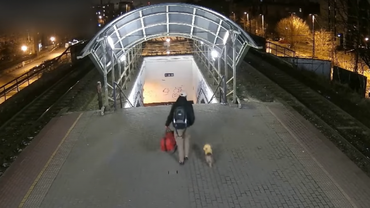 Videón, ahogy lenyúlja az ukrajnai menekült táskáit és kutyáját – felismeri?