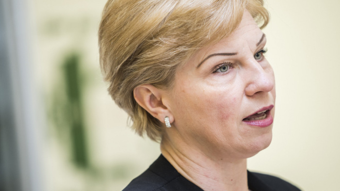 Az ukrán elnök váratlanul felmentette a budapesti nagykövetet