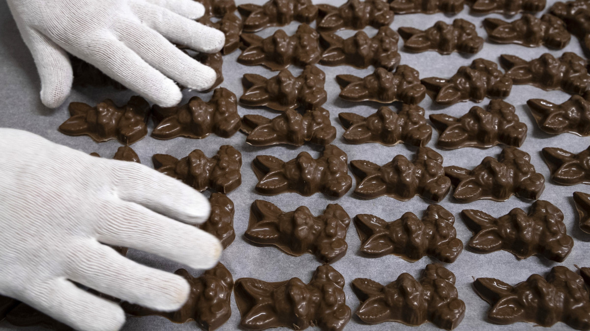 Az öntőformából kivett csokoládényulak a Szamos Marcipán Kft. pilisvörösvári üzemében 2019. február 20-án.