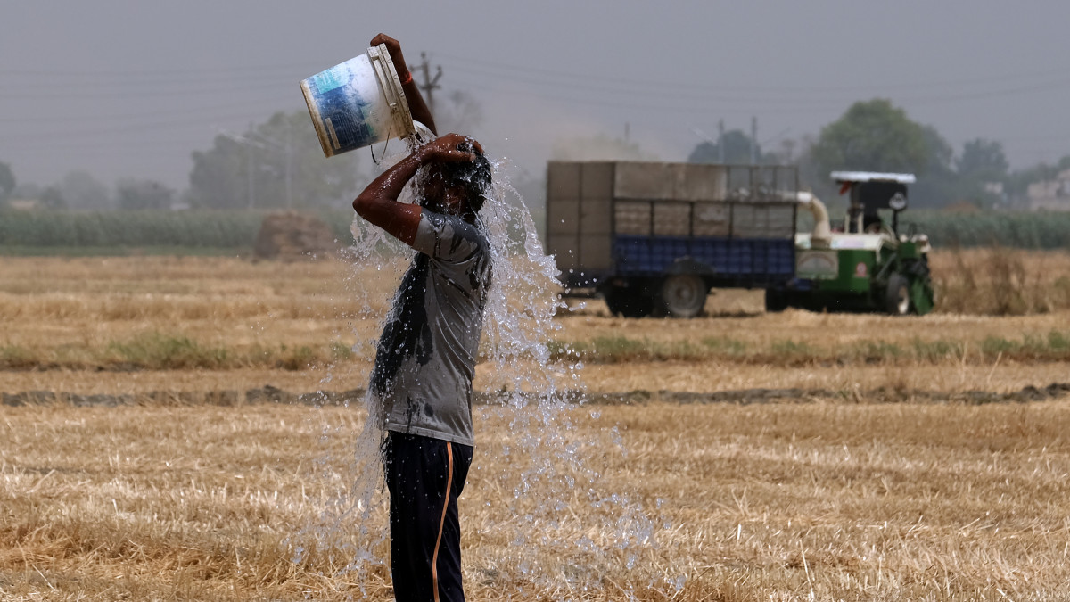 A farmer pours water on himself while working at a wheat farm in the Ludhiana district of Punjab, India, on Sunday, May 1, 2022. A blistering heat wave has scorched what fields in India, reducing yields in the second-biggest grower and damping expectations for exports that the world is relying on to alleviate a global shortage. Photographer: T. Narayan/Bloomberg via Getty Images