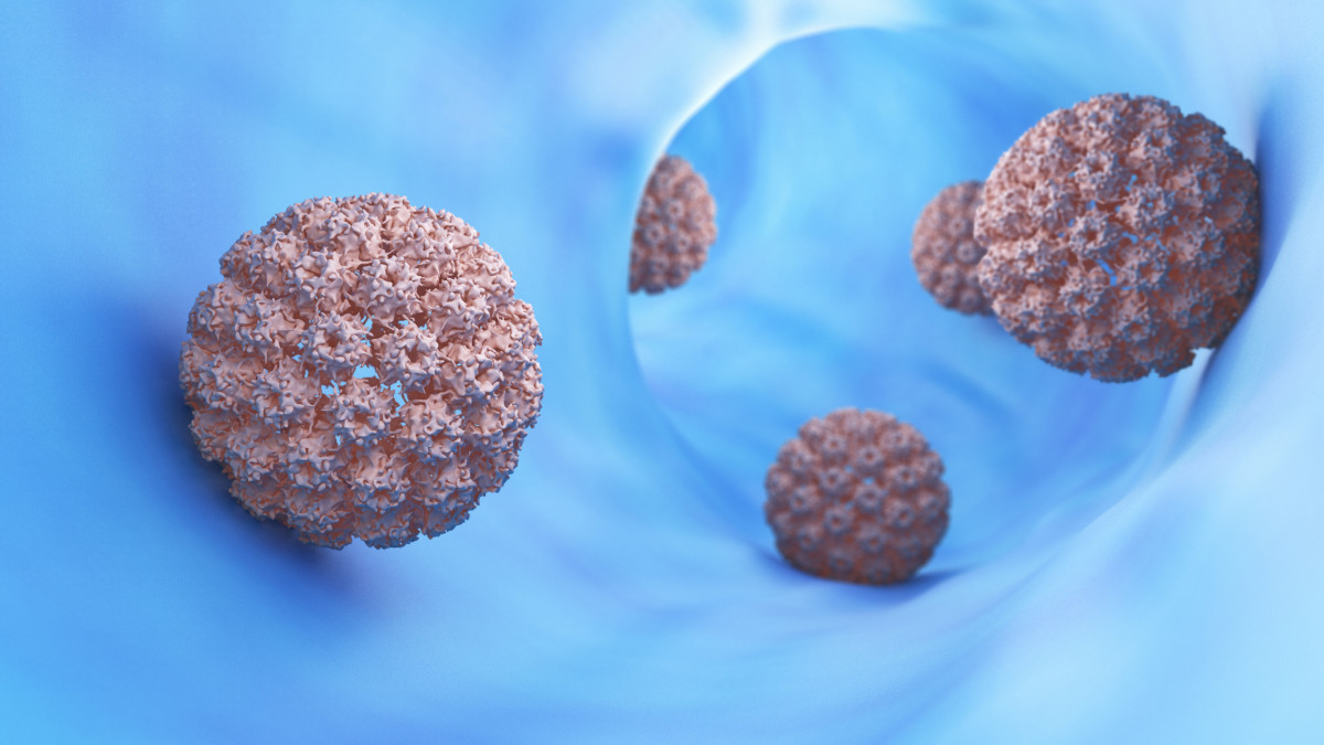 Komoly előrelépés a HPV elleni harcban