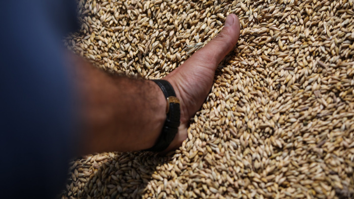 Agrárminisztérium előállt egy megoldási javaslattal a gabonaproblémára
