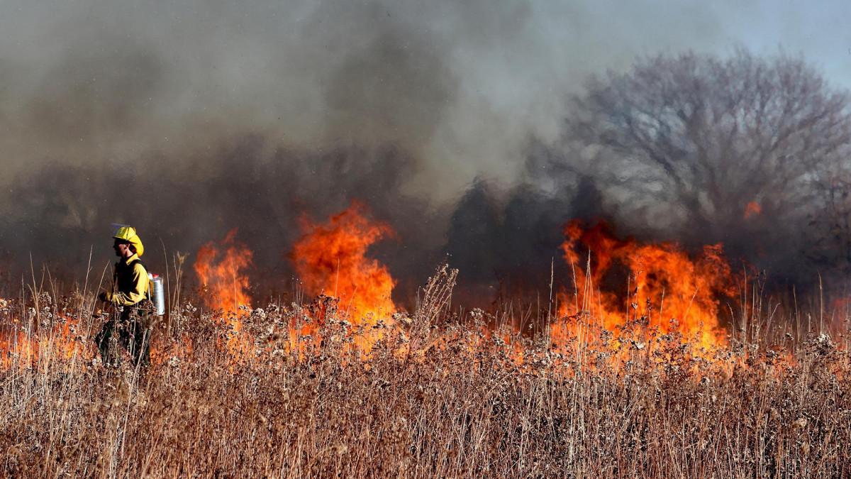 Jön az országos tűzgyújtási tilalom - a kertben grillezőknek is üzentek