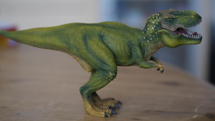A T. rex rejtélyét is megoldhatja egy mostani felfedezés