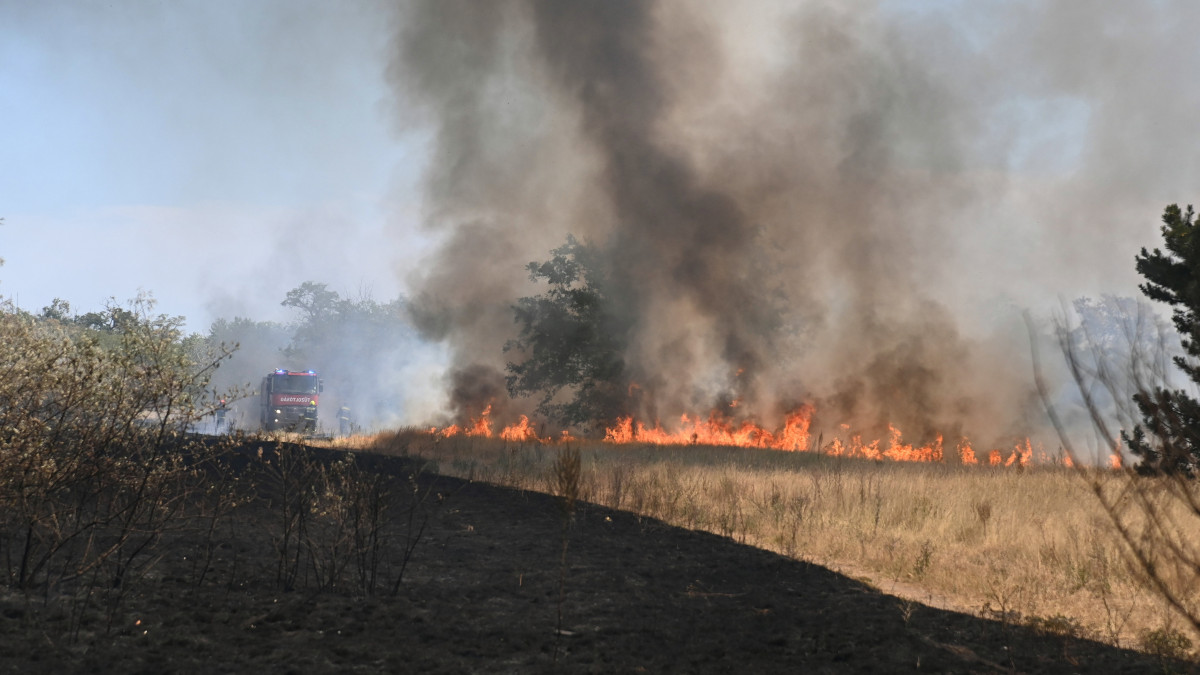 Tűzoltók dolgoznak a száraz aljnövényzetben keletkezett tűz oltásán Budapest 18. kerületében, a Gyömrői út közelében fekvő erdőben 2022. július 18-án.