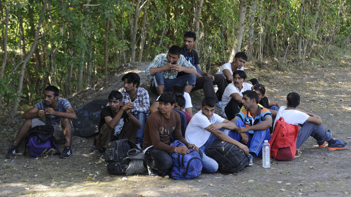 Elfogott határsértők Ásotthalom térségében 2015. szeptember 18-án. A Készenléti Rendőrség munkatársai tizenöt pakisztáni és egy líbiai férfit fogtak el az ásotthalmi átkelő közelében kora délután, a migránsokat embercsempész vezette el a magyar-szerb határhoz.