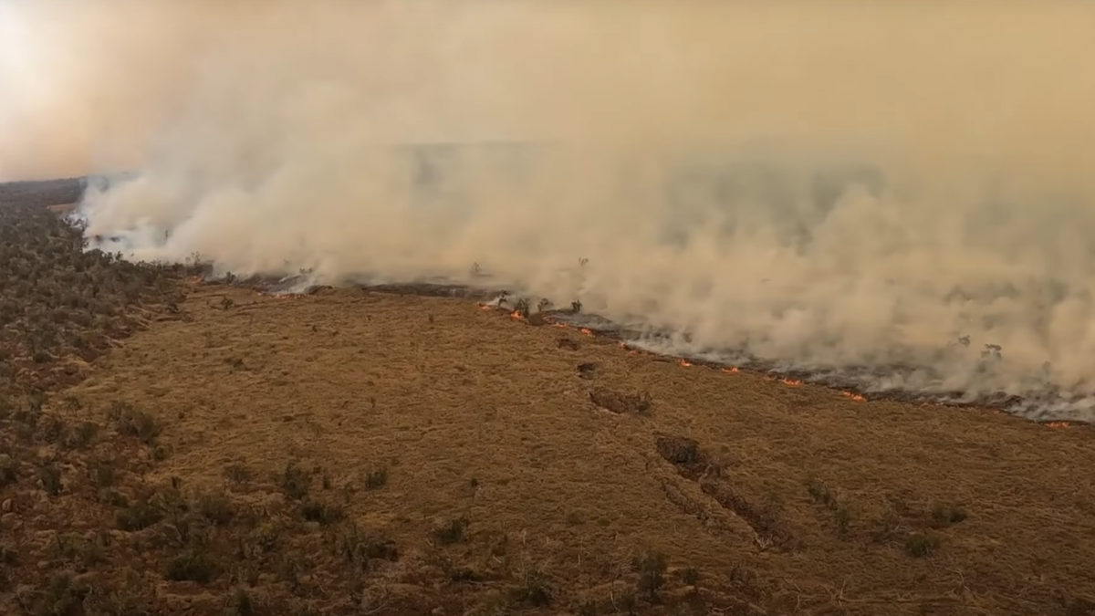 Hatalmas tűzzel küzd Hawaii – videó
