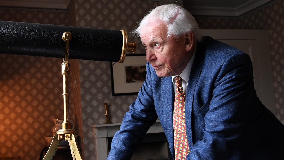 Sir David Attenborough brit természettudós és ismeretterjesztő dokumentumfilmes egy távcsőbe néz a Joseph Mallord William Turner angol romantikus festő alkotásaiból rendezett kiállításon Turner otthonában, London Twickenham nevű külvárosában 2020. január 10-én.