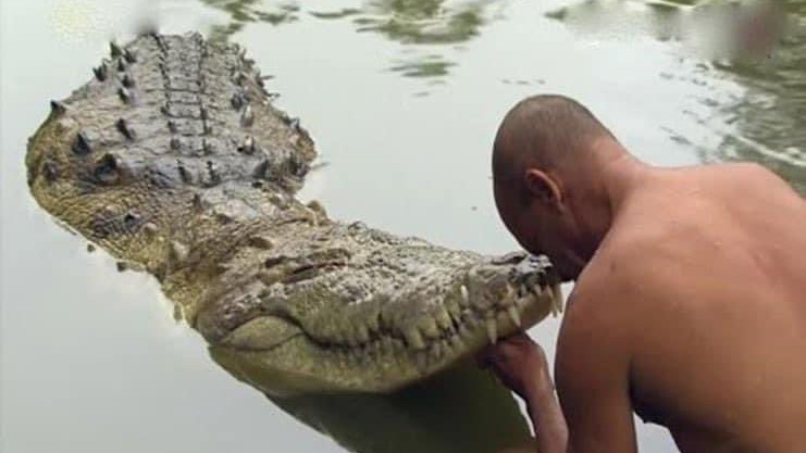 Különös krokodilt gyászolnak Indiában
