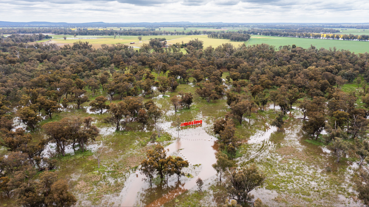 A Lachlan folyó áradása az ausztráliai Új-Dél-Wales államban fekvő Forbes és Condobolin között 2022. október 11-én.