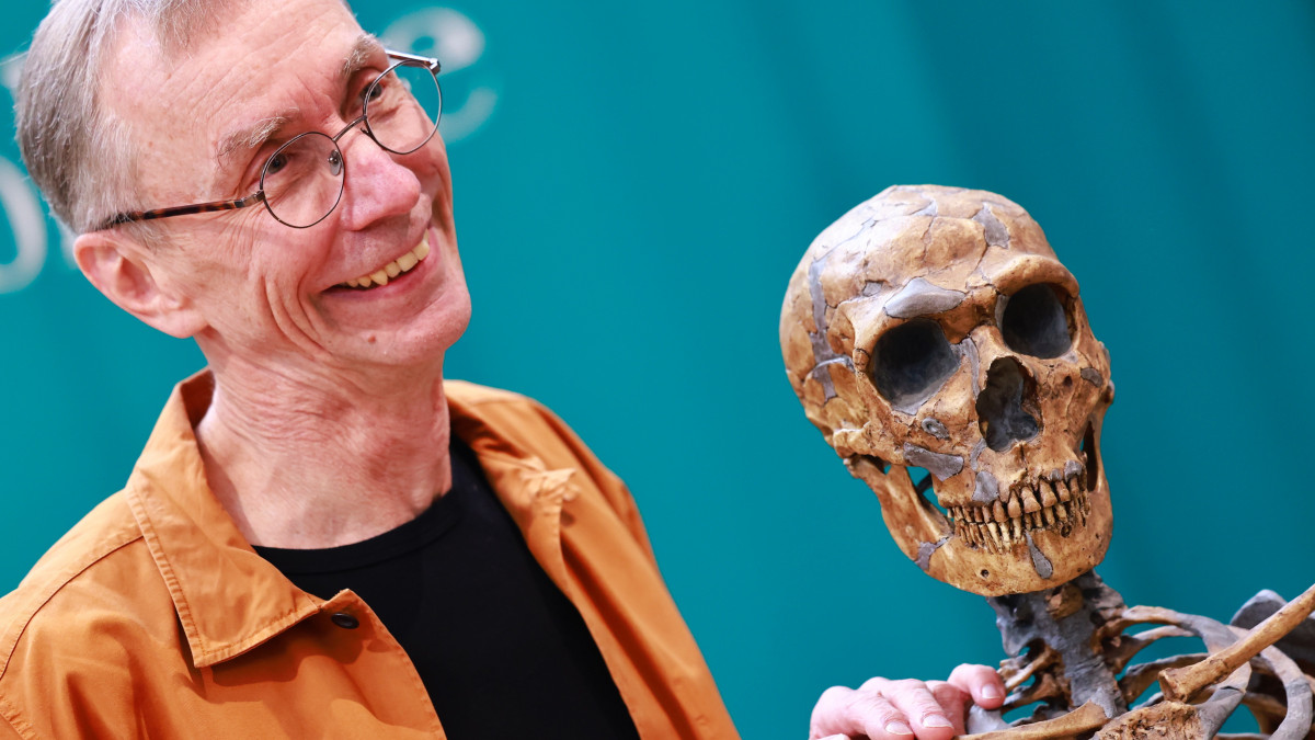 Felfedezés a neandervölgyi emberekről