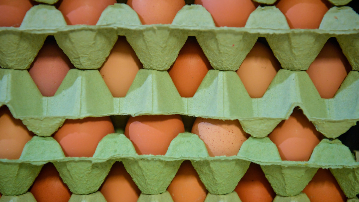 Tojások rekeszekben a Földesi Rákóczi Mezőgazdasági Kft. sápi telephelyén 2019. október 10-én. A Nemzetközi Tojásszövetség 20 évvel ezelőtt hirdette meg október második péntekére a tojás világnapját. Ezen a napon a tojás táplálkozásban játszott szerepének fontosságára hívják fel a figyelmet. Az anyatej után a tojás a legteljesebb, mással nehezen pótolható fehérje, zsírjai, ásványi anyagai és vitaminjai ideális arányúak, D-vitamin forrásként kimagasló jelentőségű.