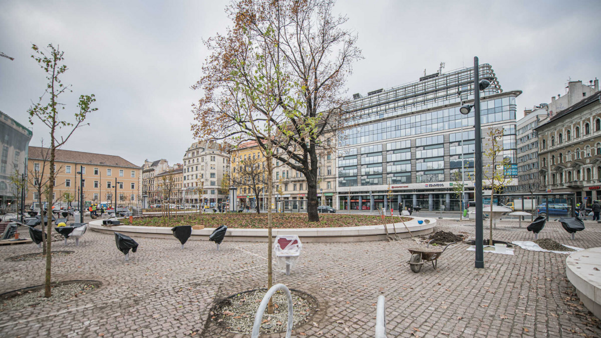 Ligetes-fás találkozóhely termett Budapest belvárosában
