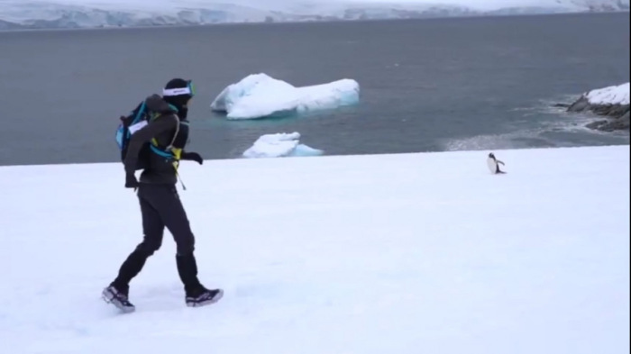 Lubics Szilvia megnyerte a vérfagyasztó antarktiszi futóversenyt