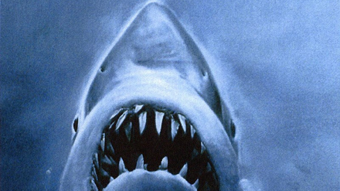 Steven Spielberg: sajnálom, hogy a filmem miatt megtizedelték a cápákat