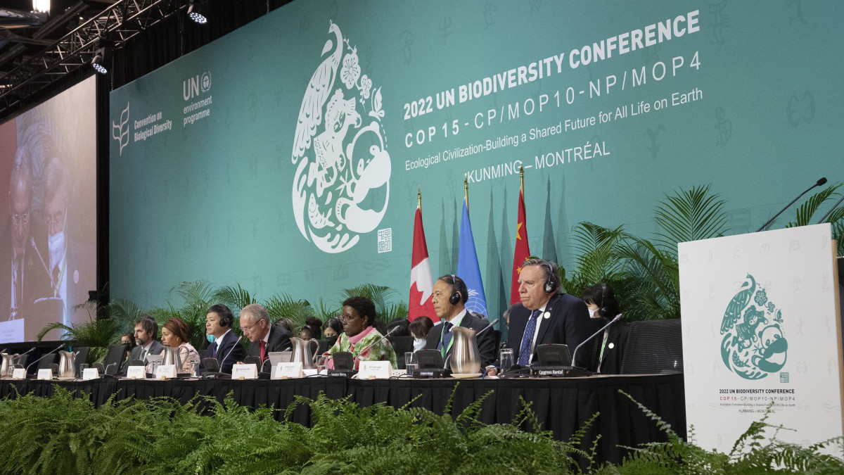 Kőrösi Csaba, az ENSZ Közgyűlésének elnöke (b5) az ENSZ biodiverzitási konferenciáján (COP15) Montrealban 2022. december 15-én. A több mint 190 ország küldöttei december 19-ig szeretnék elfogadni a megállapodást, amelynek értelmében 2030-ig véget vetnének a természet és a természeti erőforrások pusztításának, ami elengedhetetlen az emberiség túléléséhez és a globális felmelegedés elleni harchoz.