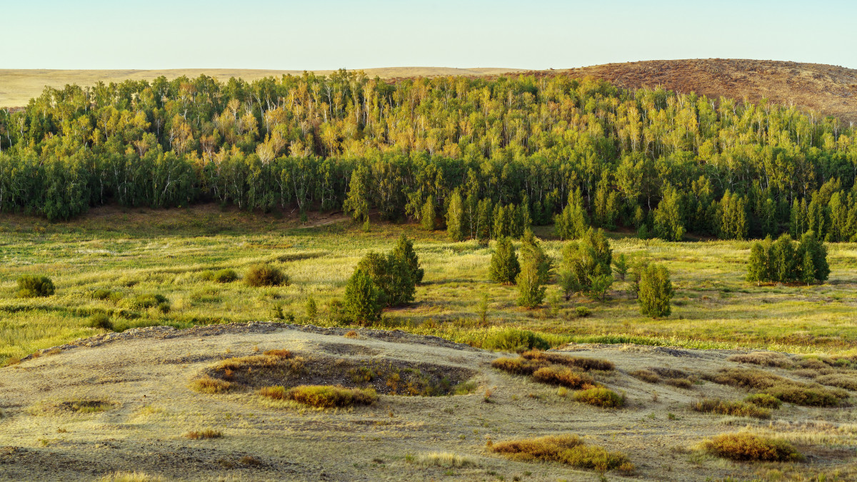 Morning summer forest-steppe landscape. Photo taken near the village of Arkaim, Russia