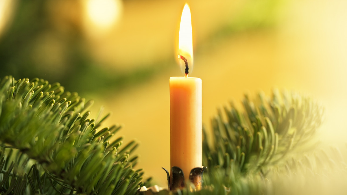 christmas candle burning in fir tree