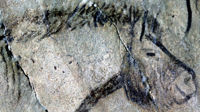 Jégkorszaki barlangrajzokat fejtettek meg - ilyen lehetett az ősember naptára