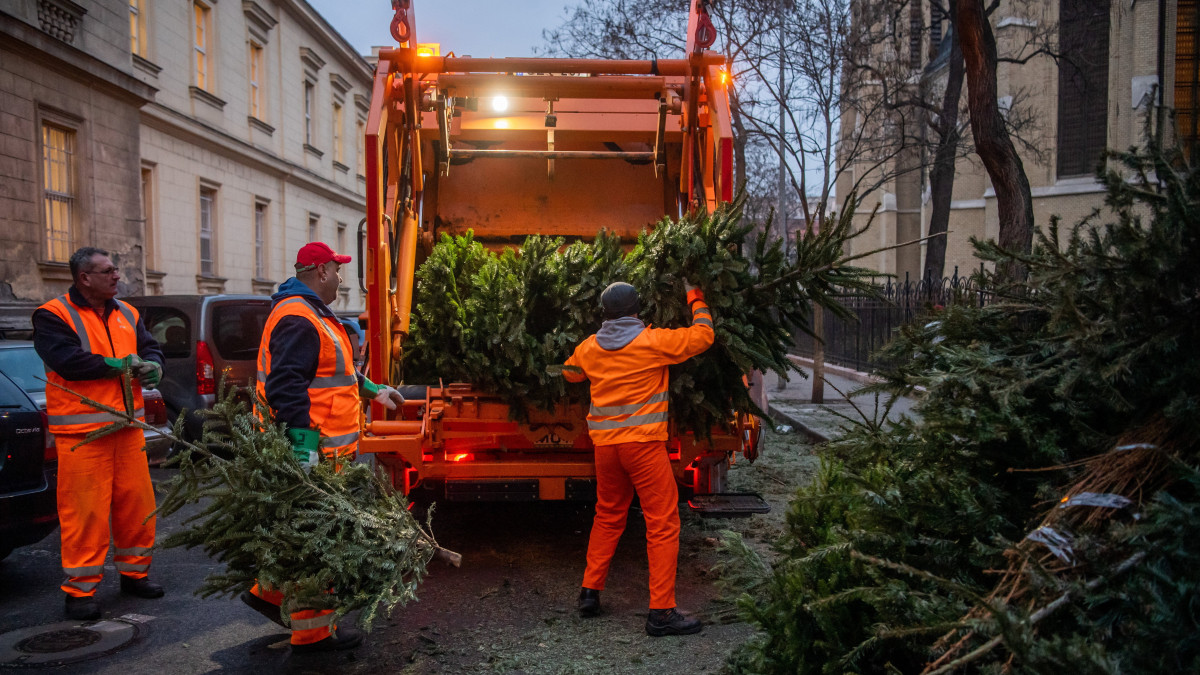 Kidobott karácsonyfákat tesznek a hulladékgyűjtő teherautóba a Fővárosi Közterület-fenntartó (FKF) Nonprofit Zrt. munkatársai a VII. kerületi Rózsák terén 2022. január 10-én.