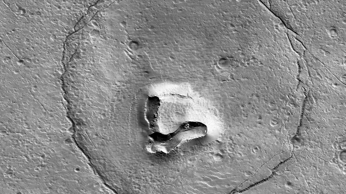 Medvét fotóztak a Marson