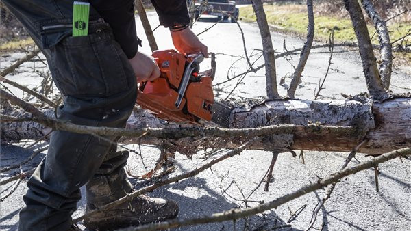 Viharban az útra dőlt fát fűrészel egy férfi a Vas vármegyei Csörötnek és Kondorfa között 2023. február 4-én. MTI/Katona Tibor