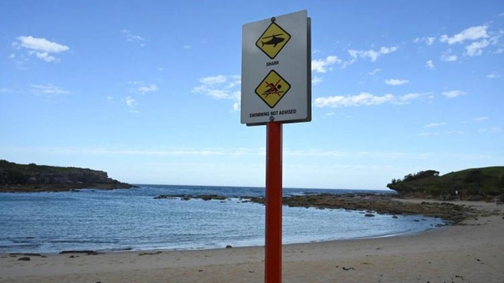 Cápa veszélyre figyelmeztető tábla Ausztráliában. Forrás: Twitter/Chusnul Chotimah