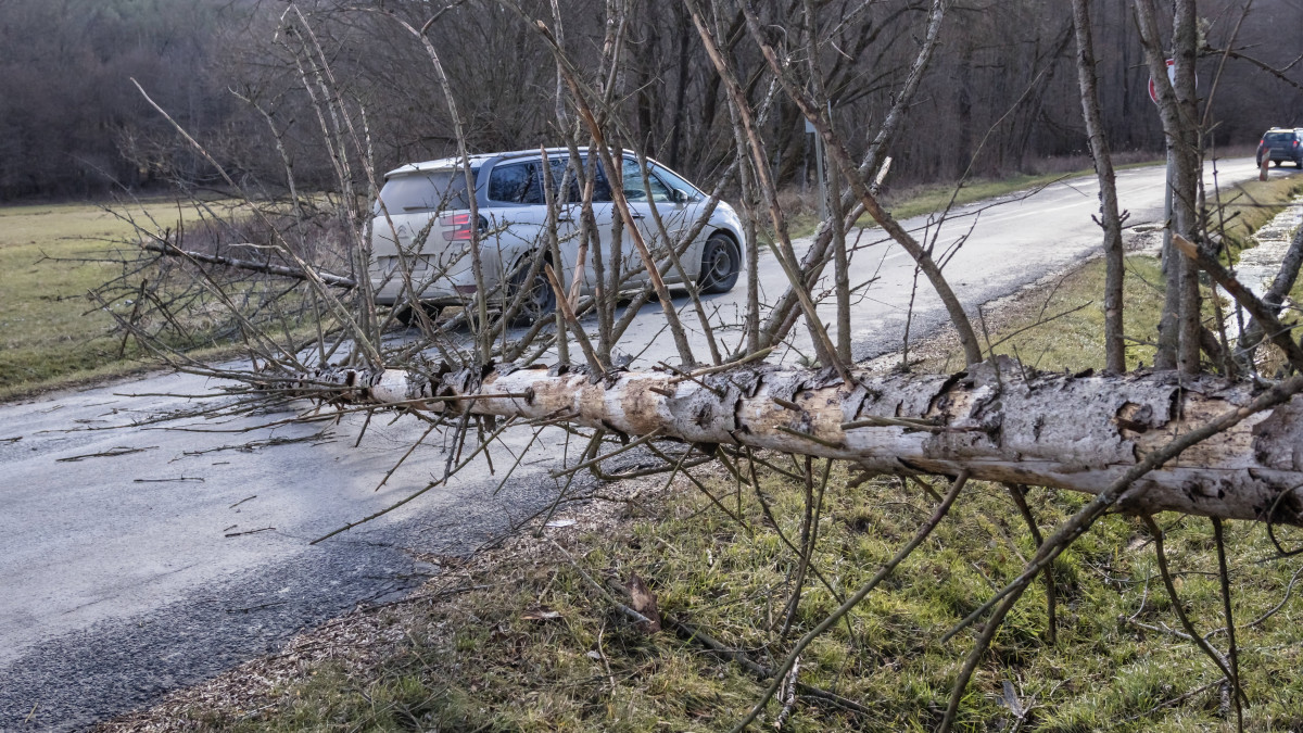 Viharban kidőlt fa az úton a Vas vármegyei Csörötnek és Kondorfa között 2023. február 4-én.