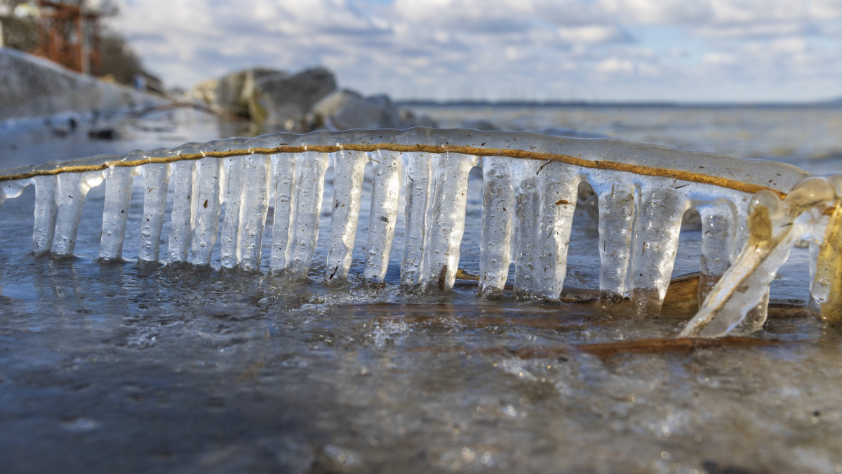 Nádra fagyott jégcsapok a Balaton partján Balatonfenyvesnél 2023. február 5-én.