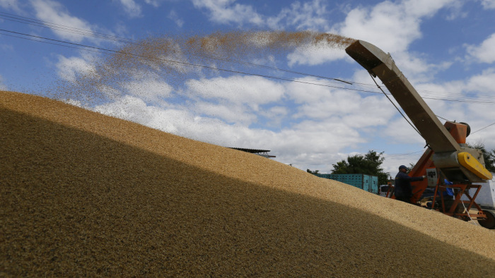 Magyarország meghosszabbítja és kiterjeszti az ukrán gabona behozatali tilalmát