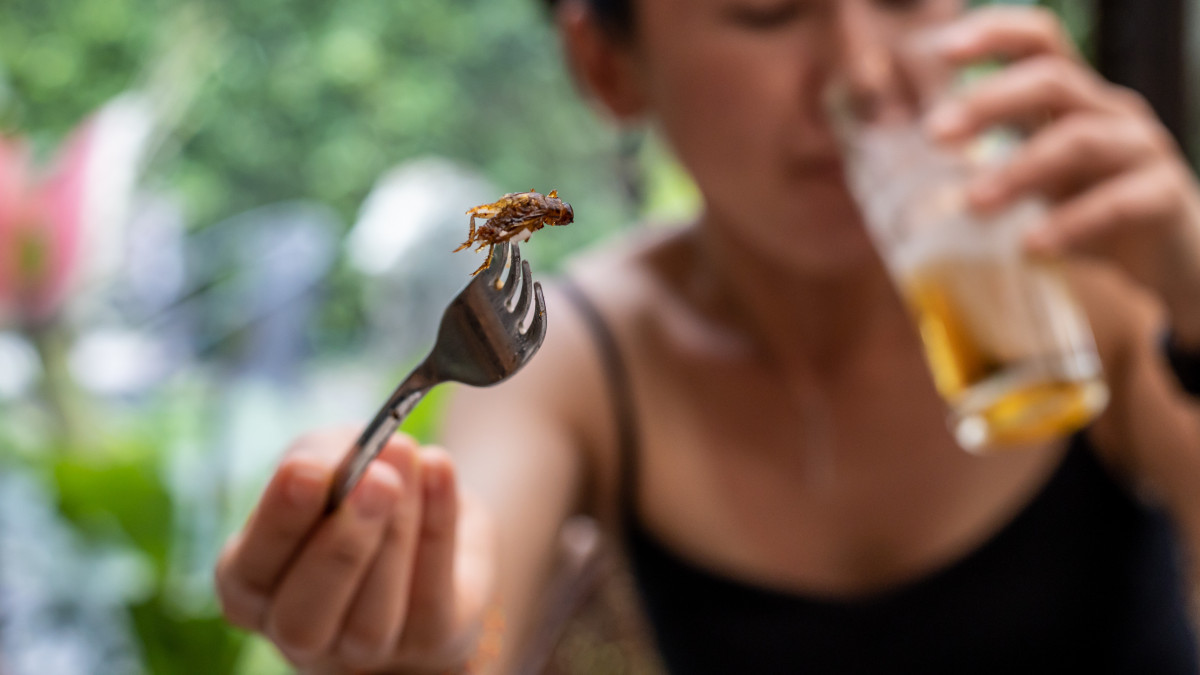 woman with fork going to eat fried insect inside restaurant