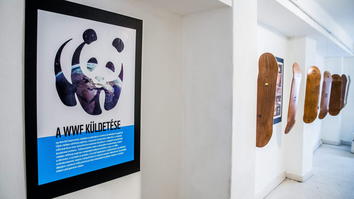 A Designed by Nature gördeszka projekt rendhagyó kiállítása a megnyitó napján Budapesten, a Telep Művészeti Galériában 2016. március 31-én. A Budakeszi Vadaspark medvéi által tervezett (karmolt, harapott) különleges deszkákat az érdeklődők kiállításon tekinthetik meg. A hét gördeszkát ezt követően egy online aukción értékesítik, a bevételből a WWF Magyarország természetvédelmi munkáját segítik, valamint a vadaspark működési költségeihez járulnak hozzá.