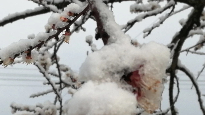 Sokfelé havazik az országban – fotók, videó
