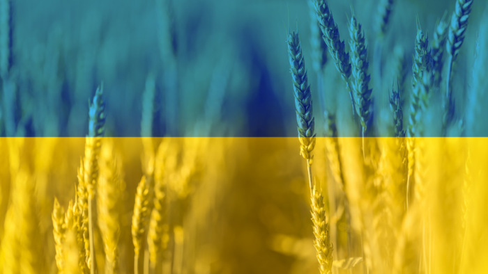 Az EU növeli az ukrán gabona szállítását lehetővé tevő szolidaritási útvonalak kapacitását