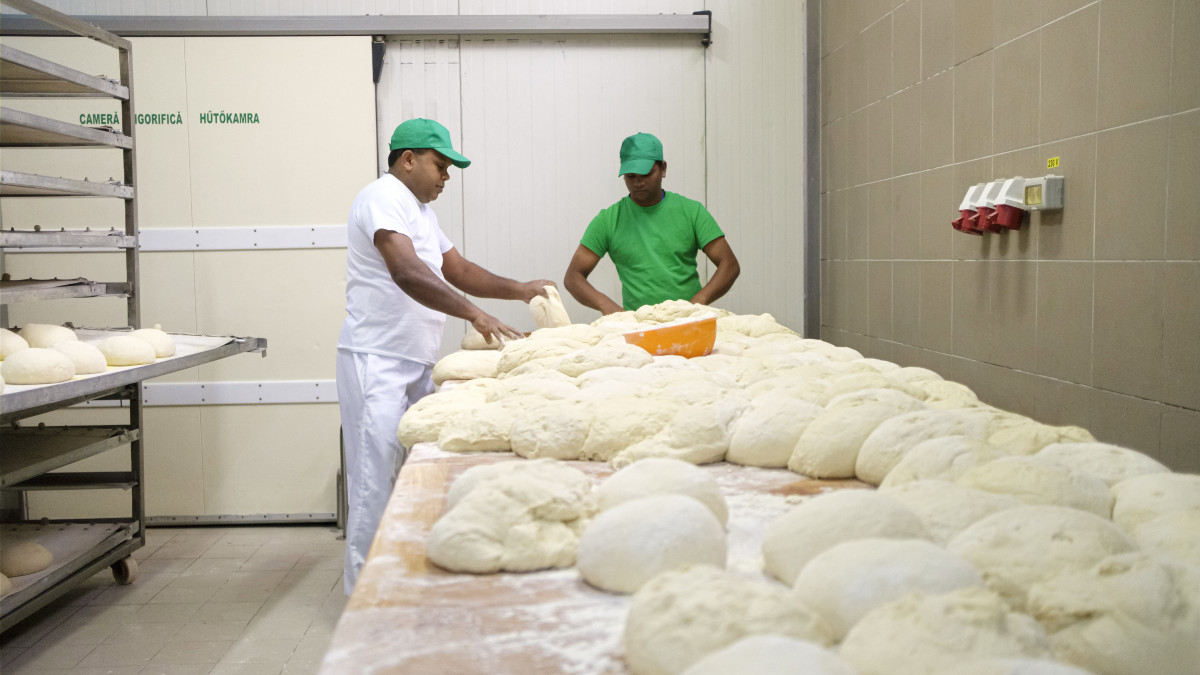Mahinda (b) és Plumal Srí Lanka-i vendégmunkások dolgoznak a Ditrói pékségben a székelyföldi Ditróban 2020. február 3-án. Elsősorban nem a Srí Lanka-i vendégmunkások megjelenését kifogásolja a község lakossága, hanem a pékséget működtető helyi vállalkozónak a magatartását, aki szerintük nem becsüli meg a helyi munkaerőt - derült ki a február 1-jén tartott falugyűlésen, amelyet Puskás Elemér polgármester hívott össze a vendégmunkások alkalmazása miatt kialakult közfelháborodás megvitatására.