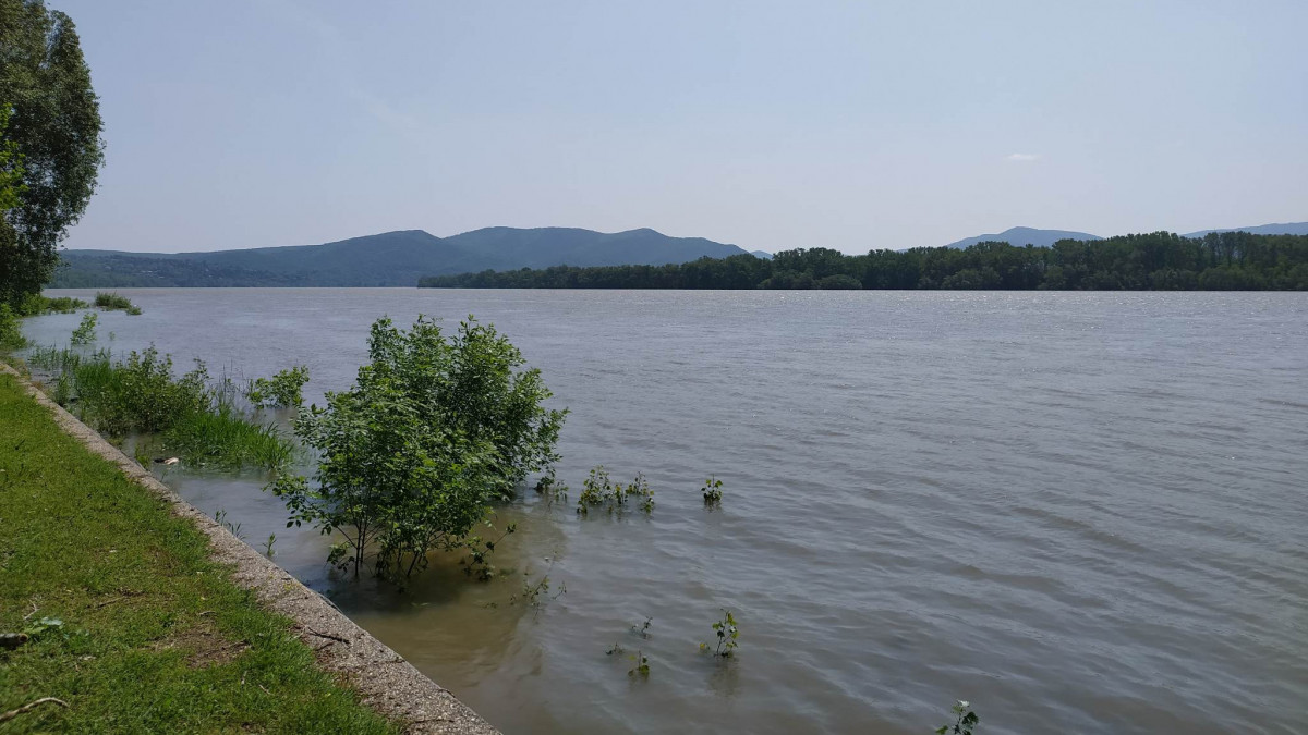 Zebegény-Szob közötti szakaszon az áradó Duna 2023. májusában.