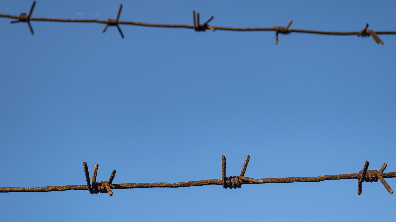 Barbed wire against the blue sky. Social theme. Background image. Free space for text. Restriction of freedom.