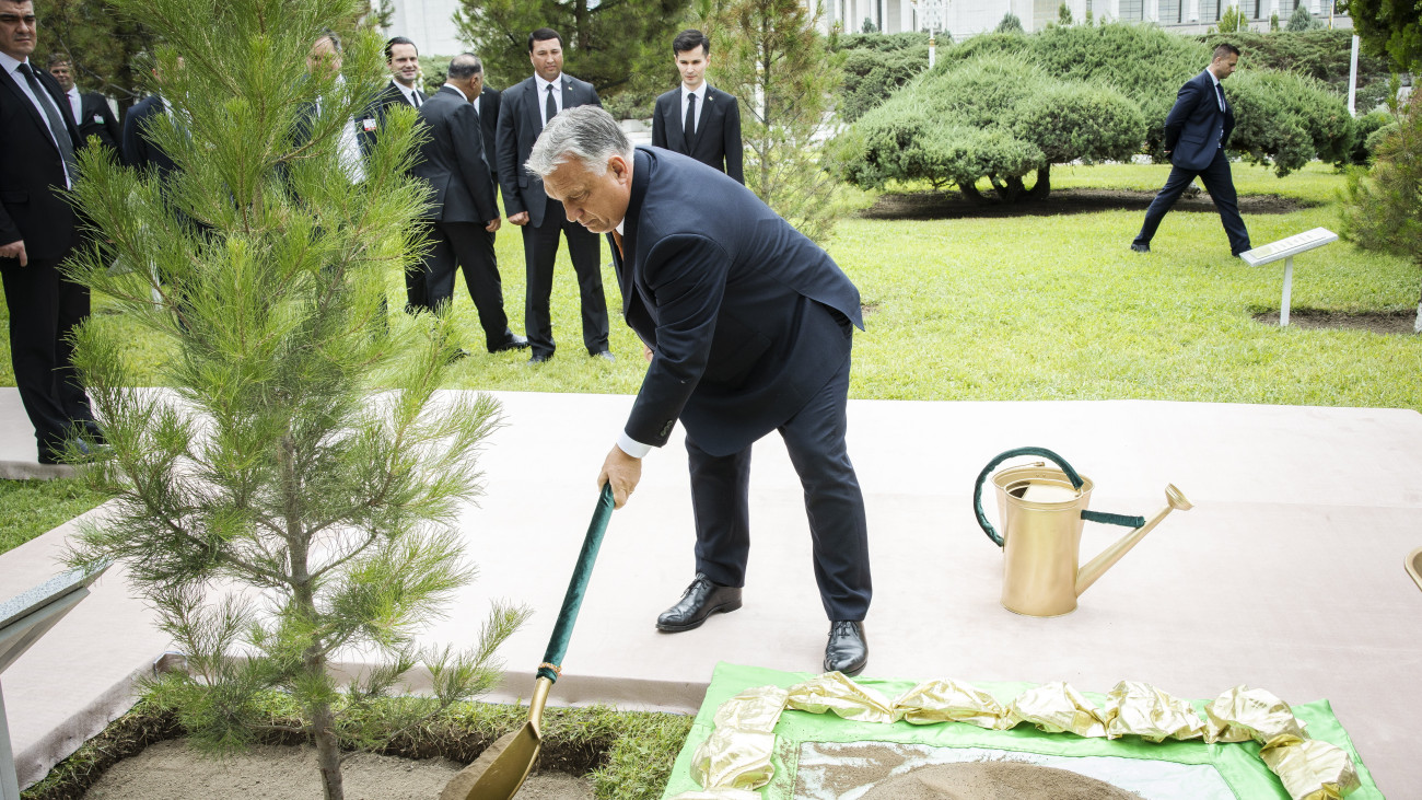 A Miniszterelnöki Sajtóiroda által közreadott képen Orbán Viktor miniszterelnök emlékfát ültet, miután Serdar Berdimuhamedow türkmén elnökkel folytatott tárgyalást Asgabatban 2023. június 9-én.